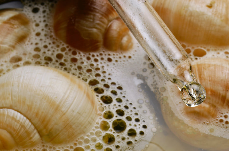 Snail Secretion Filtrate